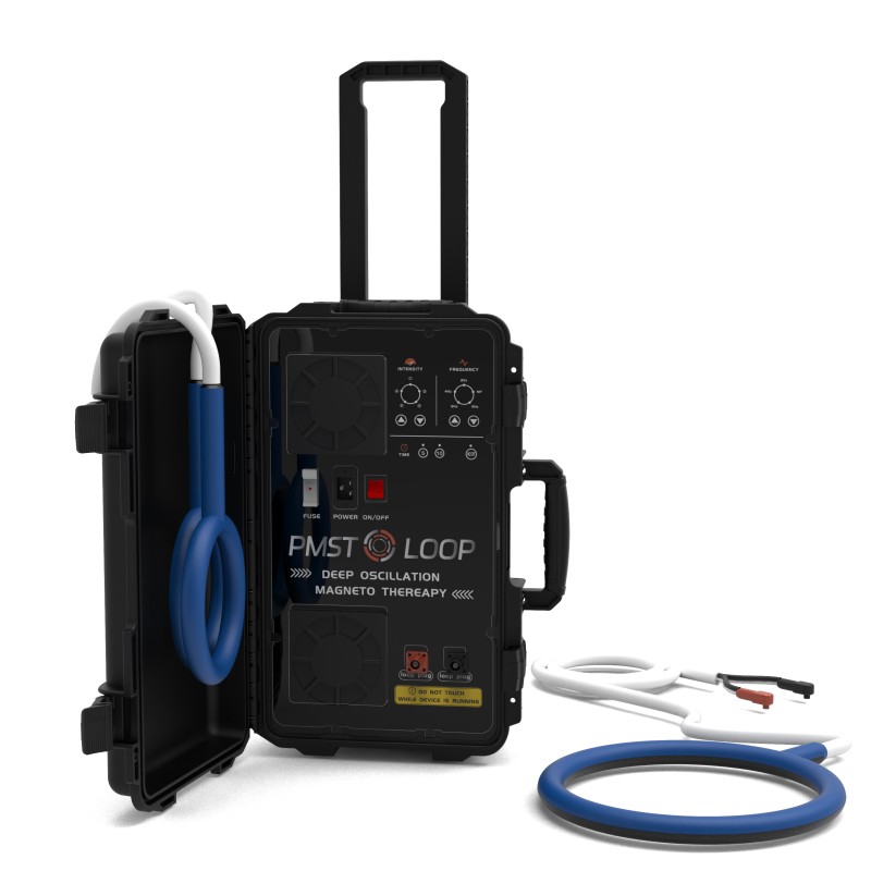 PMST LOOP PEMF Therapy Horse E - Health Wellness Massage 리뷰 및 가격