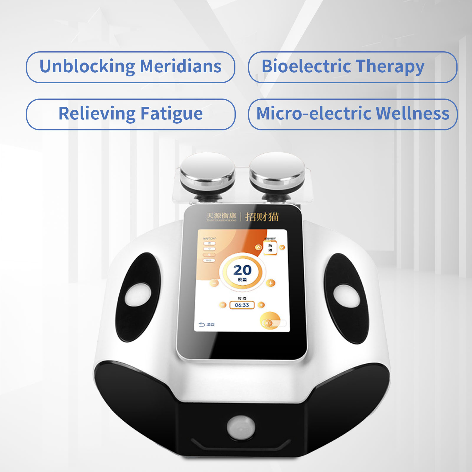 Bioelectric Meridian Meter Hea - Health Wellness Massage 리뷰 및 가격