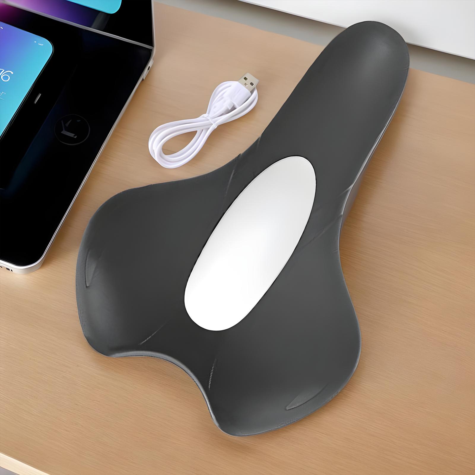 Pelvic Floor Exercise Devices  - Health Wellness Massage 리뷰 및 가격