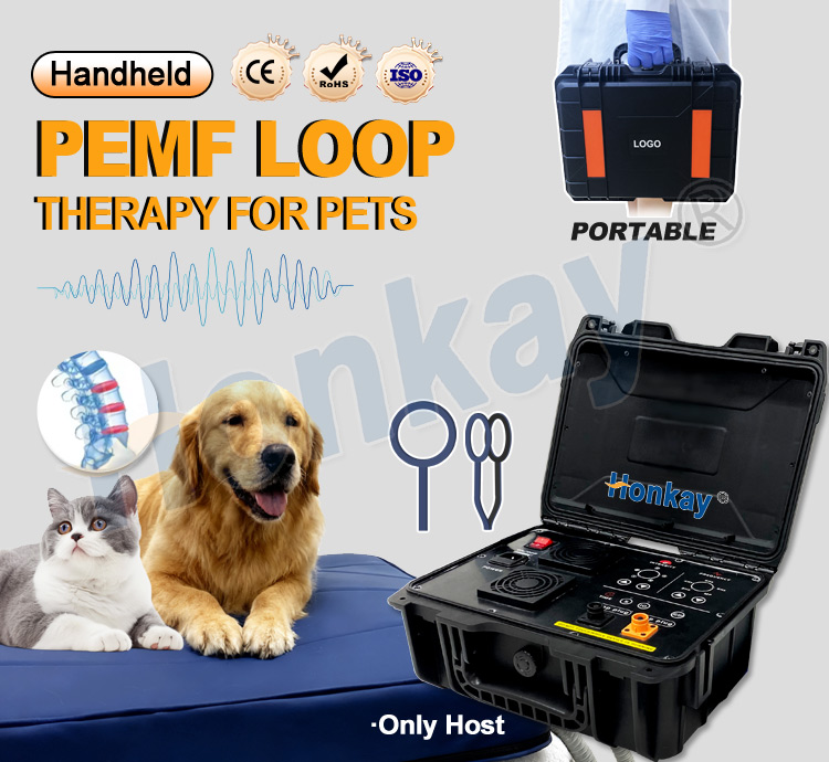 Personal Pet Care PEMF Device  - Health Wellness Massage 리뷰 및 가격