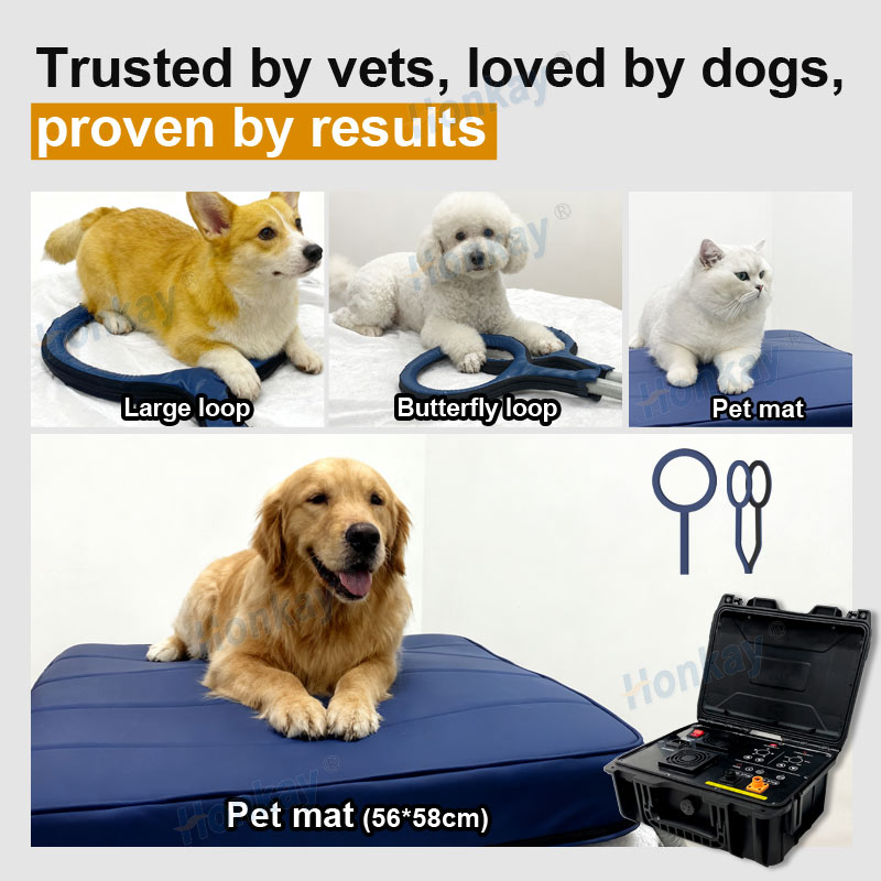 Personal Pet Care PEMF Device  - Health Wellness Massage 리뷰 및 가격