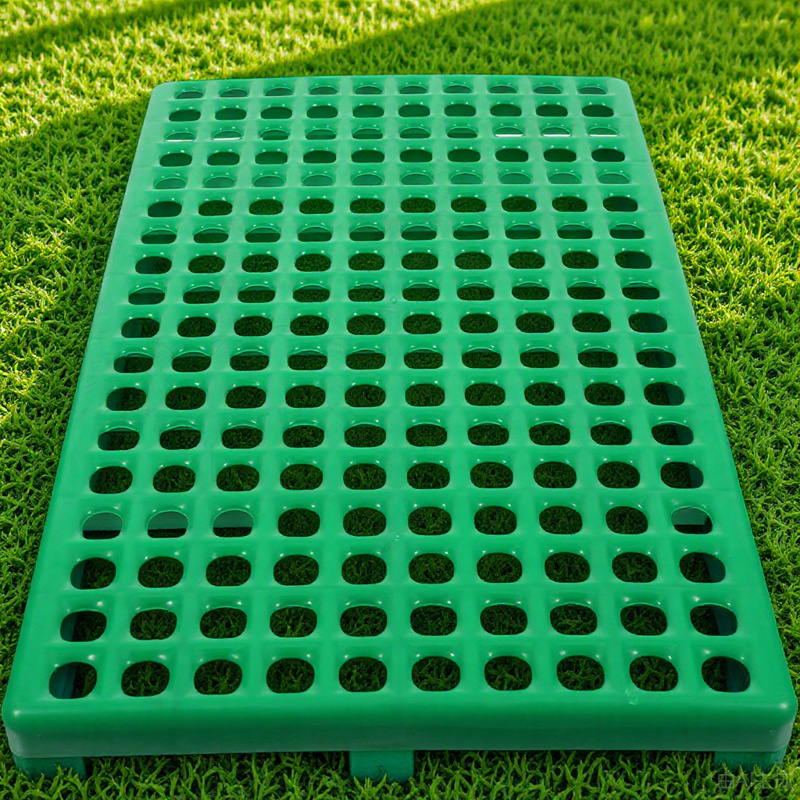 Rabbit Cage Pad Plastic Draina - Acupressure Mat Set 리뷰 및 가격