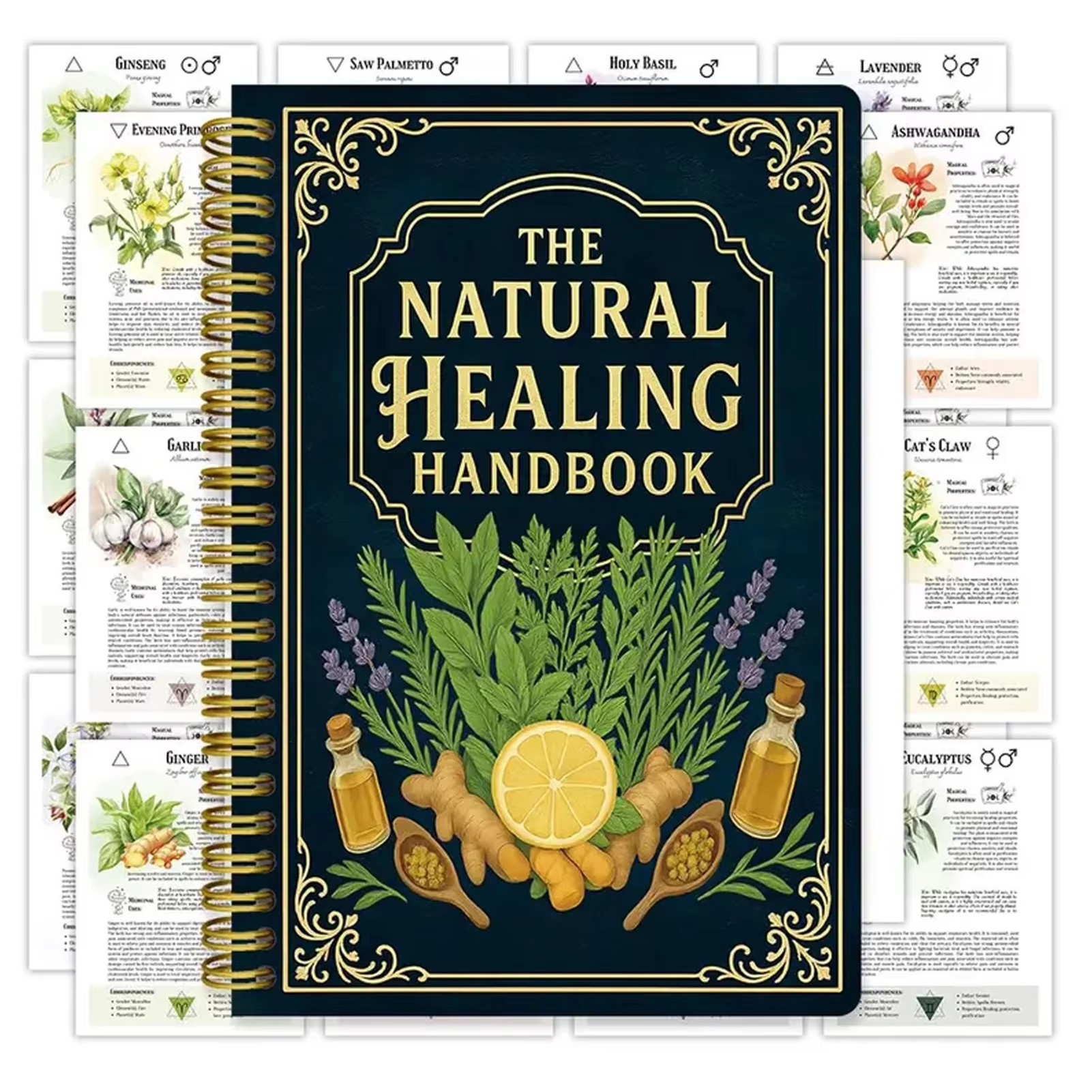Healing Handbook By Luna Filby - Health & Wellness Photos 리뷰 및 가격