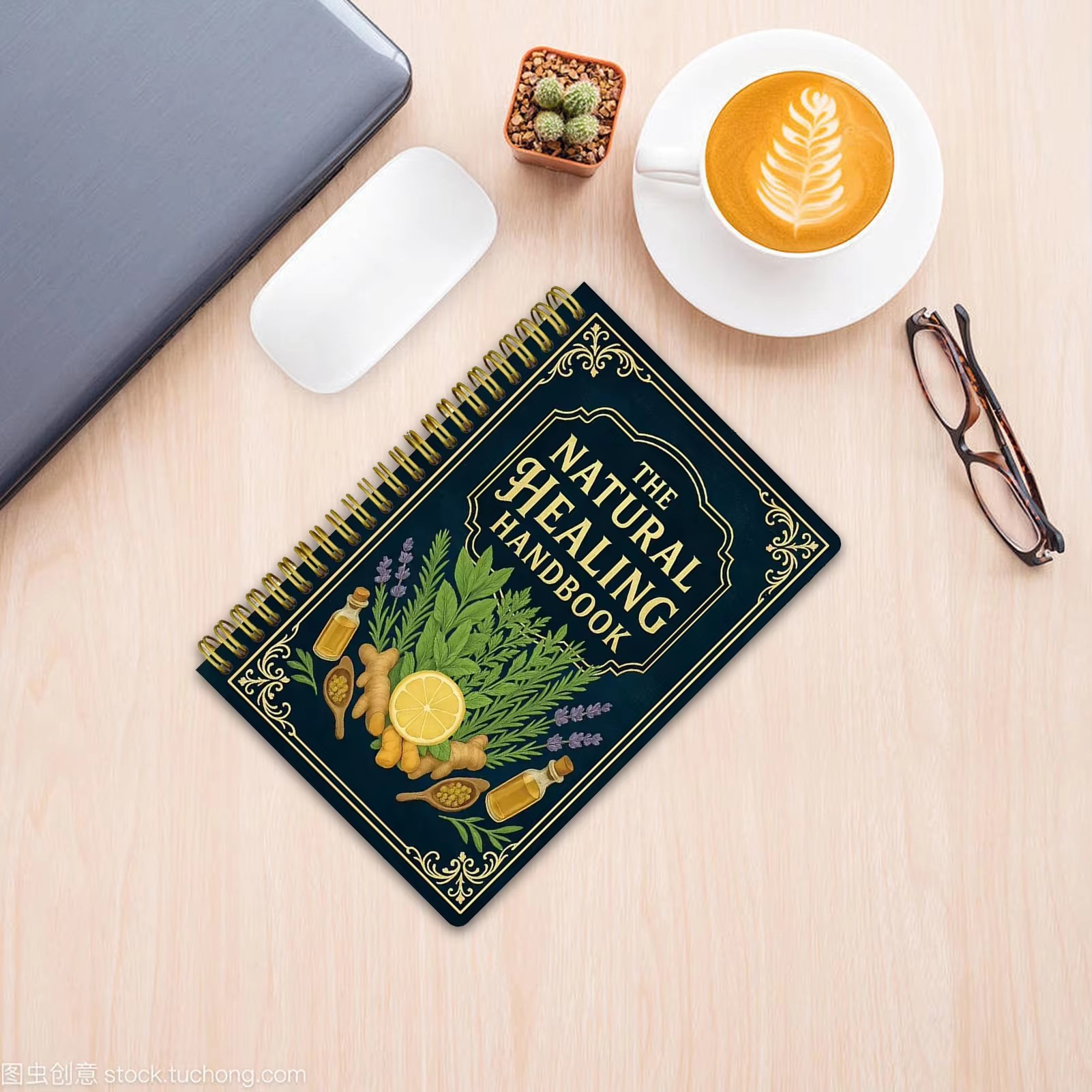 Healing Handbook By Luna Filby - Health & Wellness Photos 리뷰 및 가격