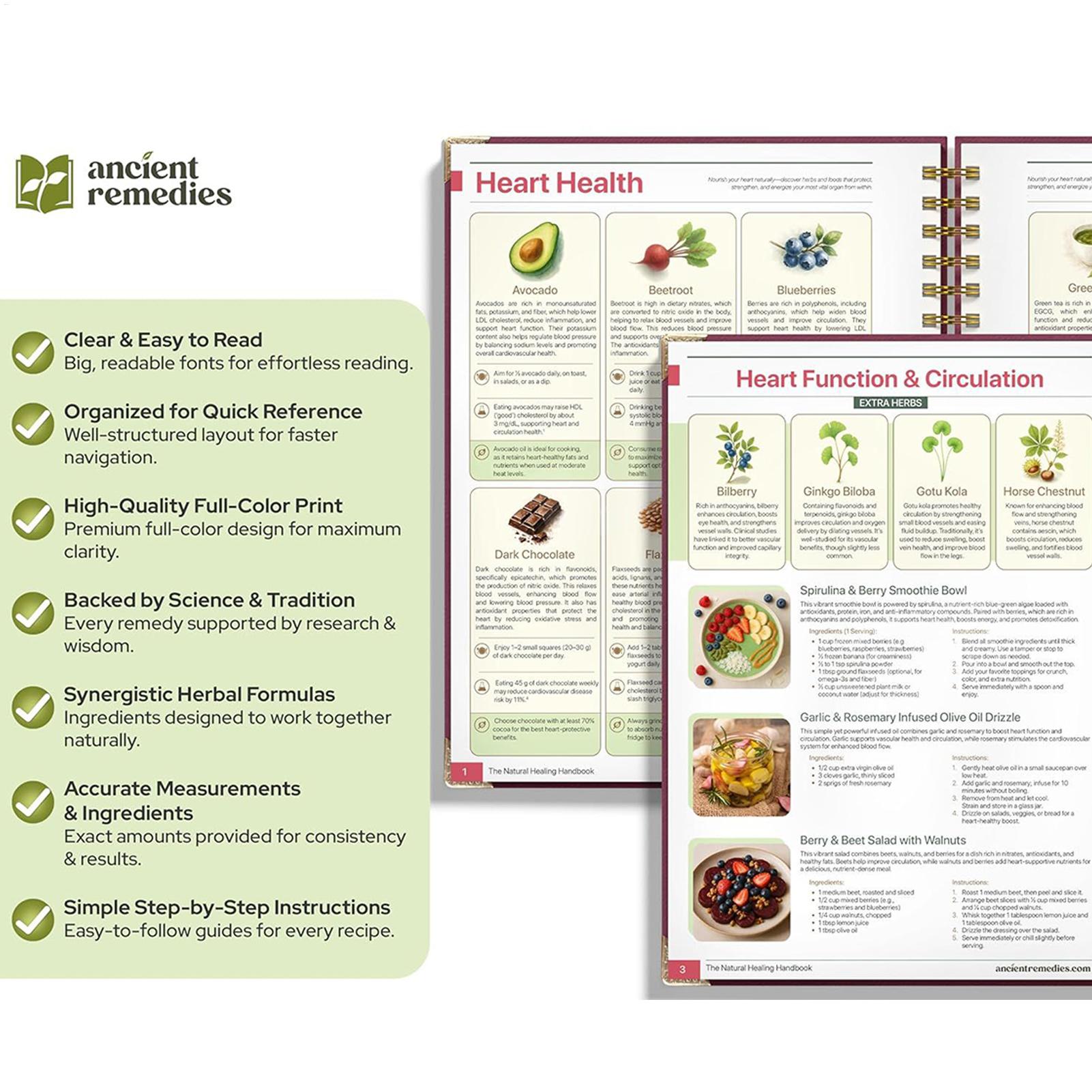 250x176x10mm Human Health Guid - Health & Wellness Photos 리뷰 및 가격