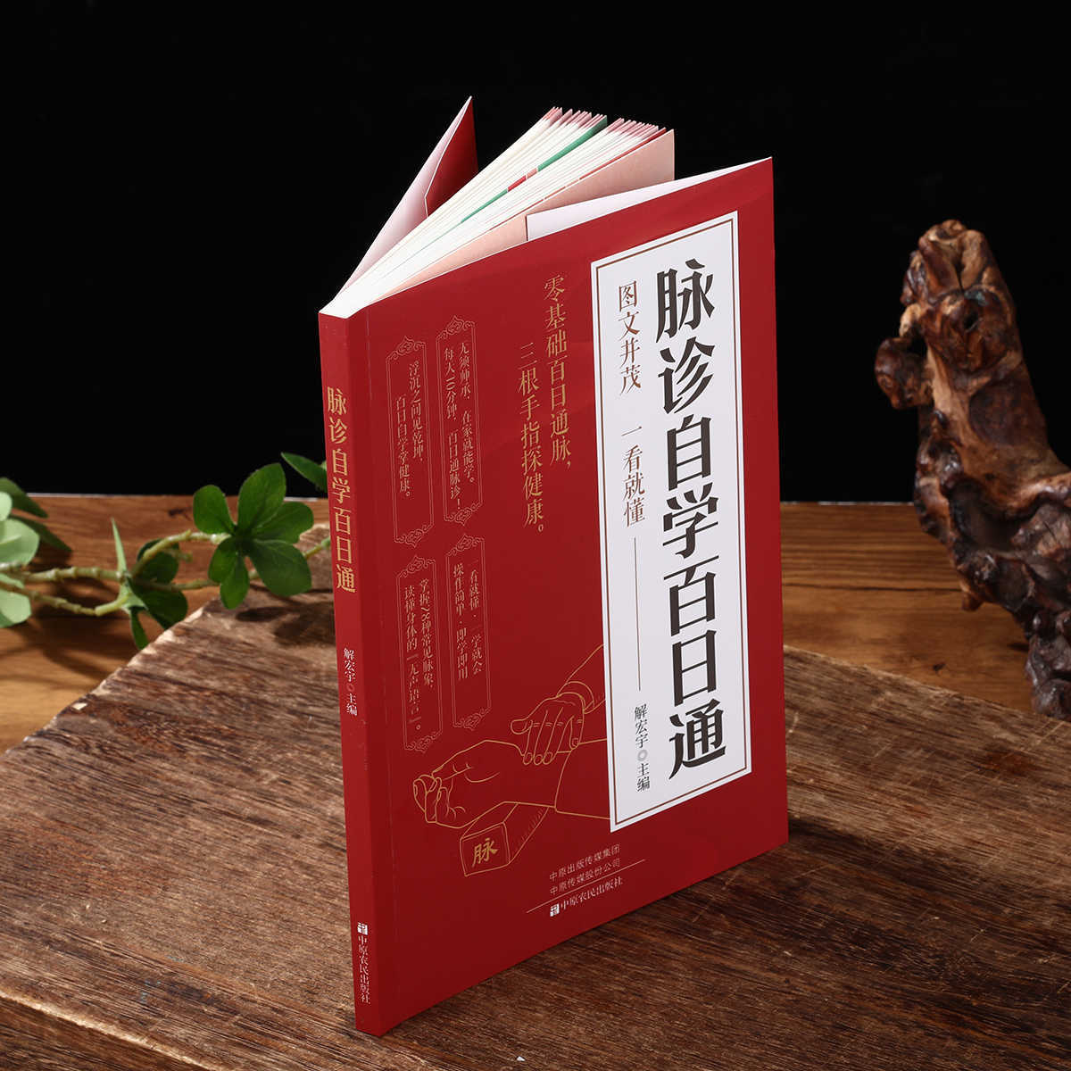 Pulse Diagnosis Self Study Hun - Health & Wellness Photos 리뷰 및 가격